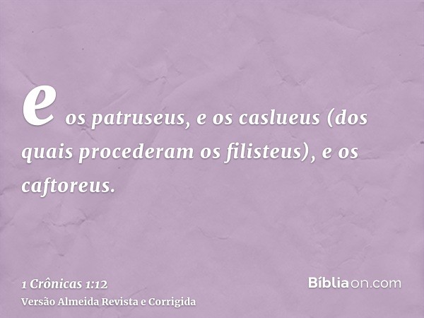e os patruseus, e os caslueus (dos quais procederam os filisteus), e os caftoreus.