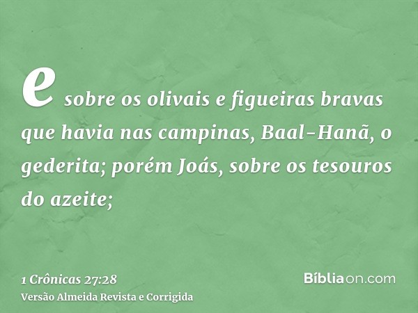 e sobre os olivais e figueiras bravas que havia nas campinas, Baal-Hanã, o gederita; porém Joás, sobre os tesouros do azeite;