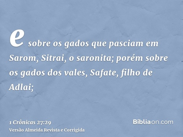 e sobre os gados que pasciam em Sarom, Sitrai, o saronita; porém sobre os gados dos vales, Safate, filho de Adlai;