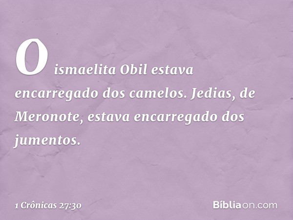 O ismaelita Obil estava encarregado dos camelos.
Jedias, de Meronote, estava encarregado dos jumentos. -- 1 Crônicas 27:30