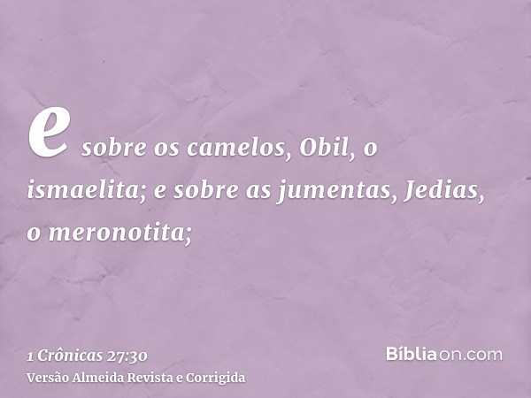 e sobre os camelos, Obil, o ismaelita; e sobre as jumentas, Jedias, o meronotita;