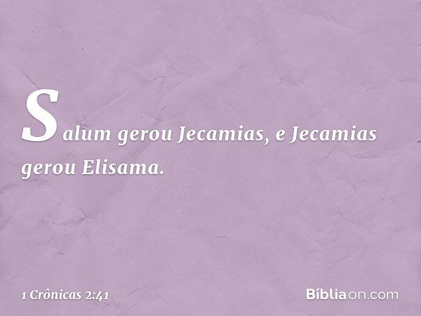 Salum gerou Jecamias, e Jecamias gerou Elisama. -- 1 Crônicas 2:41