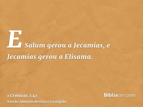 E Salum gerou a Jecamias, e Jecamias gerou a Elisama.