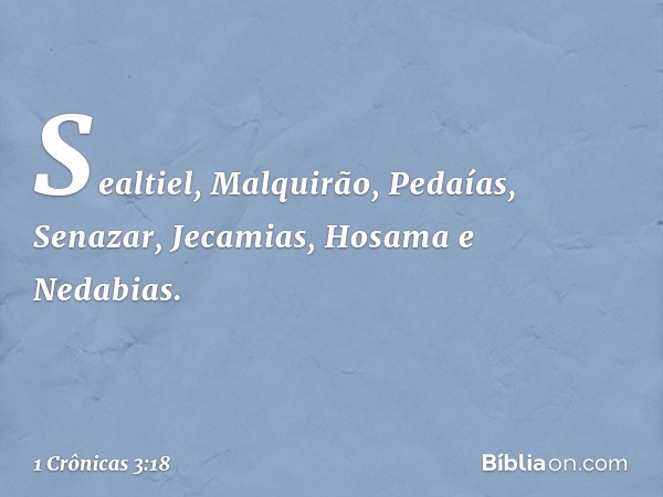 Sealtiel,
Malquirão, Pedaías,
Senazar, Jecamias, Hosama e Nedabias. -- 1 Crônicas 3:18