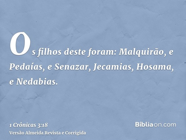 Os filhos deste foram: Malquirão, e Pedaías, e Senazar, Jecamias, Hosama, e Nedabias.