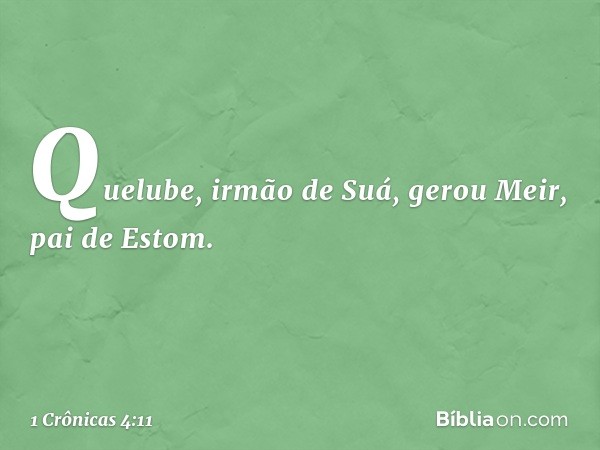 Quelube, irmão de Suá, gerou Meir, pai de Estom. -- 1 Crônicas 4:11