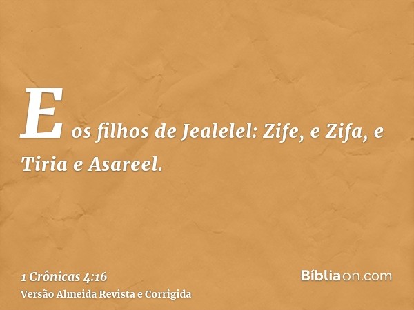 E os filhos de Jealelel: Zife, e Zifa, e Tiria e Asareel.