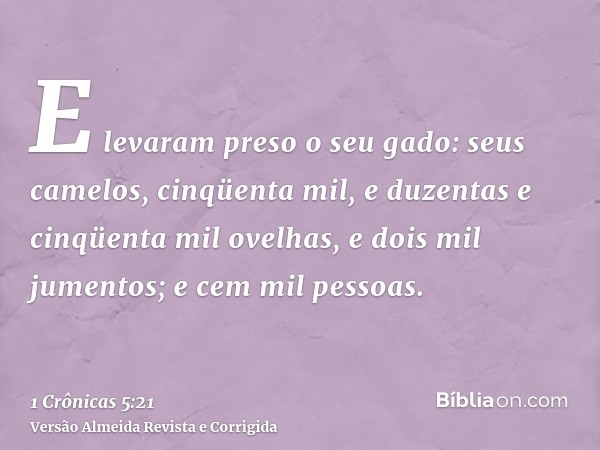 E levaram preso o seu gado: seus camelos, cinqüenta mil, e duzentas e cinqüenta mil ovelhas, e dois mil jumentos; e cem mil pessoas.