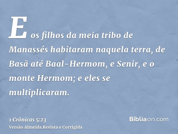 E os filhos da meia tribo de Manassés habitaram naquela terra, de Basã até Baal-Hermom, e Senir, e o monte Hermom; e eles se multiplicaram.