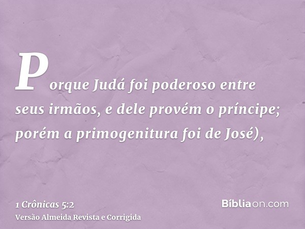 Porque Judá foi poderoso entre seus irmãos, e dele provém o príncipe; porém a primogenitura foi de José),