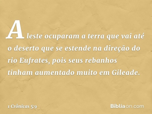 A leste ocuparam a terra que vai até o deserto que se estende na direção do rio Eufrates, pois seus rebanhos tinham aumentado muito em Gileade. -- 1 Crônicas 5: