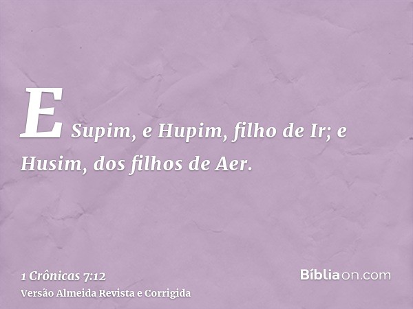 E Supim, e Hupim, filho de Ir; e Husim, dos filhos de Aer.