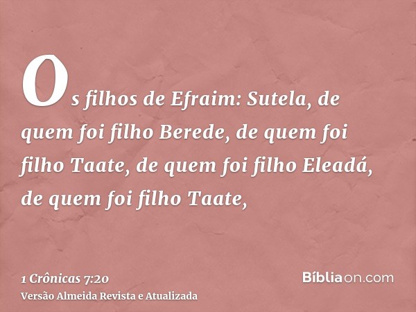 Os filhos de Efraim: Sutela, de quem foi filho Berede, de quem foi filho Taate, de quem foi filho Eleadá, de quem foi filho Taate,