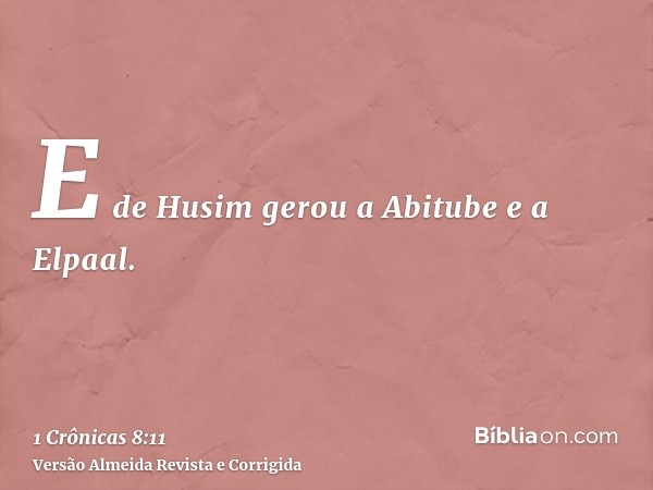 E de Husim gerou a Abitube e a Elpaal.