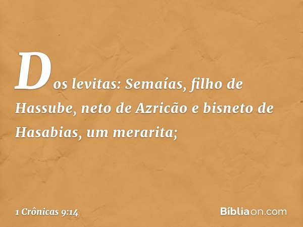 Dos levitas:
Semaías, filho de Hassube, neto de Azricão e bisneto de Hasabias, um merarita; -- 1 Crônicas 9:14