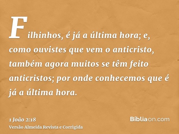 Filhinhos, é já a última hora; e, como ouvistes que vem o anticristo, também agora muitos se têm feito anticristos; por onde conhecemos que é já a última hora.