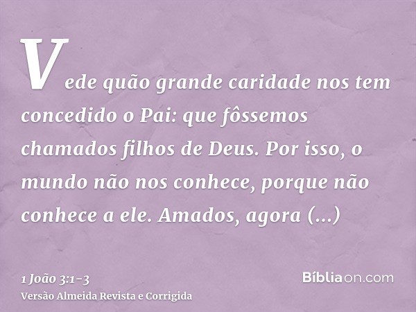 Vede quão grande caridade nos tem concedido o Pai: que fôssemos chamados filhos de Deus. Por isso, o mundo não nos conhece, porque não conhece a ele.Amados, ago