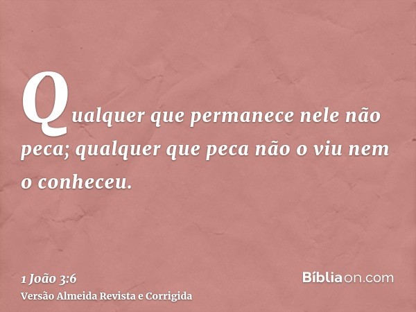 Qualquer que permanece nele não peca; qualquer que peca não o viu nem o conheceu.