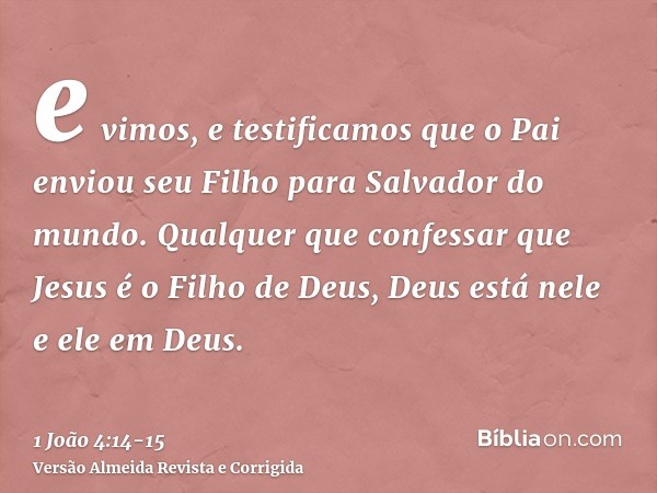 e vimos, e testificamos que o Pai enviou seu Filho para Salvador do mundo.Qualquer que confessar que Jesus é o Filho de Deus, Deus está nele e ele em Deus.