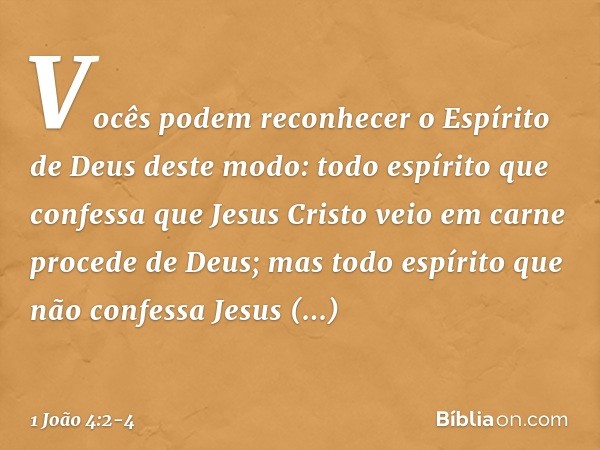 Vocês podem reconhecer o Espírito de Deus deste modo: todo espírito que confessa que Jesus Cristo veio em carne procede de Deus; mas todo espírito que não confe