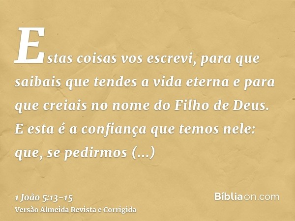 Estas coisas vos escrevi, para que saibais que tendes a vida eterna e para que creiais no nome do Filho de Deus.E esta é a confiança que temos nele: que, se ped