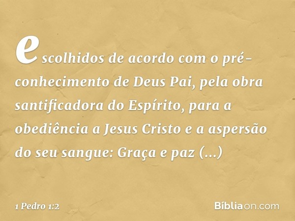 escolhidos de acordo com o pré-conhecimento de Deus Pai, pela obra santificadora do Espírito, para a obediência a Jesus Cristo e a aspersão do seu sangue:
Graça