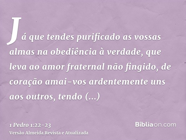 Já que tendes purificado as vossas almas na obediência à verdade, que leva ao amor fraternal não fingido, de coração amai-vos ardentemente uns aos outros,tendo 