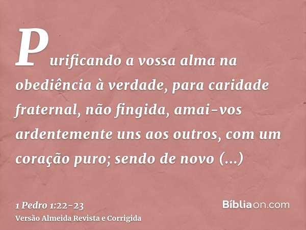 Purificando a vossa alma na obediência à verdade, para caridade fraternal, não fingida, amai-vos ardentemente uns aos outros, com um coração puro;sendo de novo 