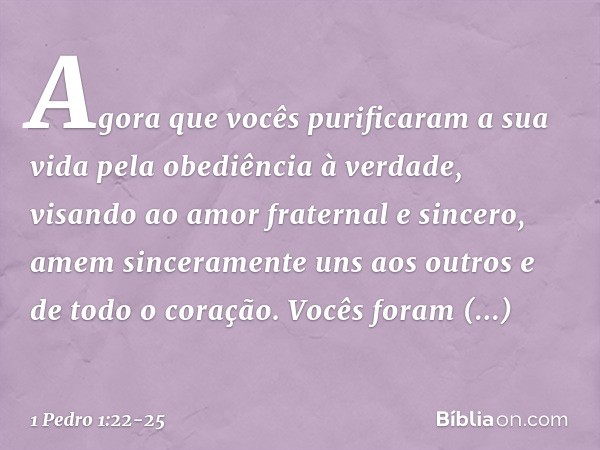 Agora que vocês purificaram a sua vida pela obediência à verdade, visando ao amor fraternal e sincero, amem sinceramente uns aos outros e de todo o coração. Voc