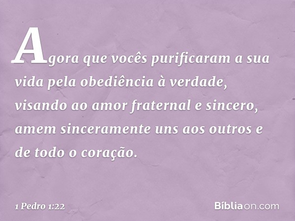 Agora que vocês purificaram a sua vida pela obediência à verdade, visando ao amor fraternal e sincero, amem sinceramente uns aos outros e de todo o coração. -- 