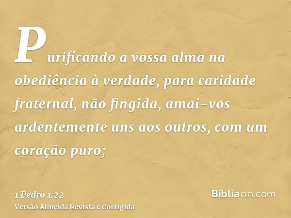 Purificando a vossa alma na obediência à verdade, para caridade fraternal, não fingida, amai-vos ardentemente uns aos outros, com um coração puro;