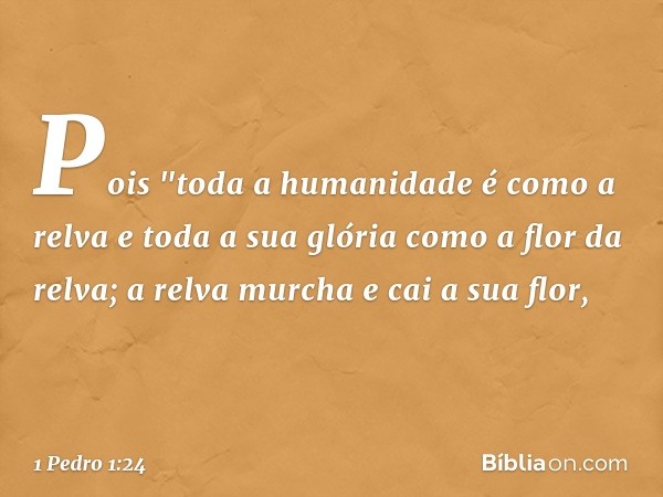 Pois
"toda a humanidade
é como a relva
e toda a sua glória
como a flor da relva;
a relva murcha e cai a sua flor, -- 1 Pedro 1:24