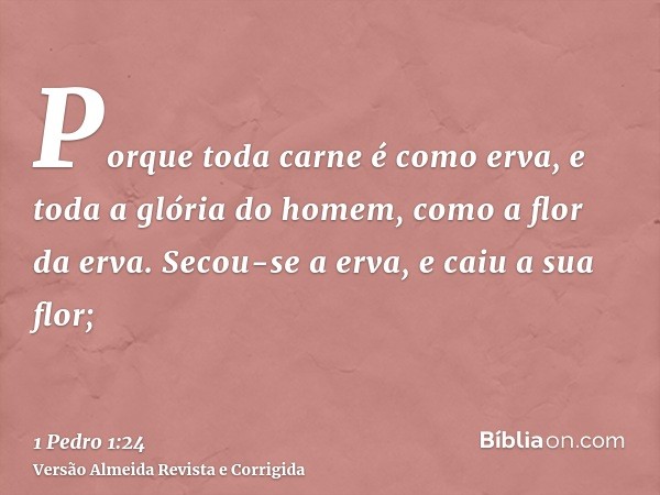 Porque toda carne é como erva, e toda a glória do homem, como a flor da erva. Secou-se a erva, e caiu a sua flor;