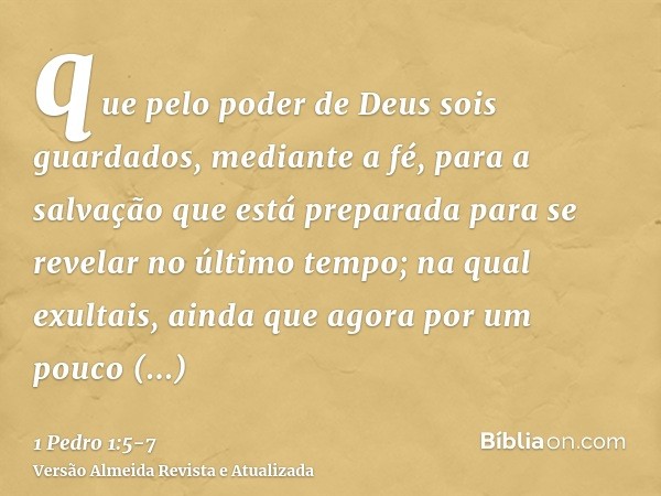 que pelo poder de Deus sois guardados, mediante a fé, para a salvação que está preparada para se revelar no último tempo;na qual exultais, ainda que agora por u