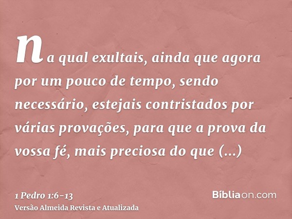 na qual exultais, ainda que agora por um pouco de tempo, sendo necessário, estejais contristados por várias provações,para que a prova da vossa fé, mais precios