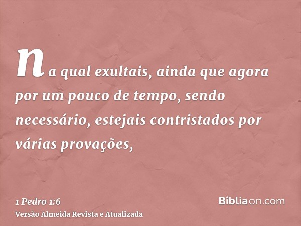 na qual exultais, ainda que agora por um pouco de tempo, sendo necessário, estejais contristados por várias provações,