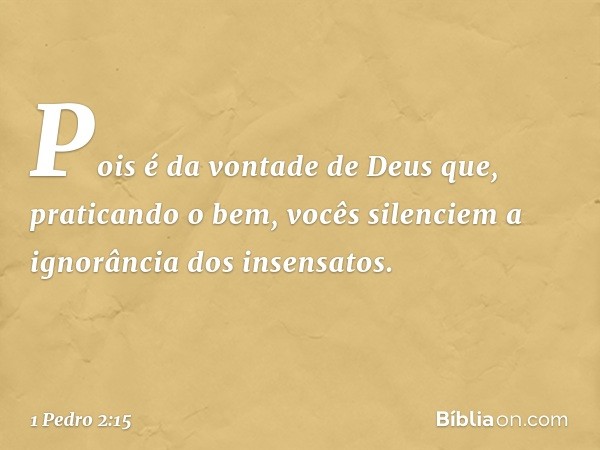 Pois é da vontade de Deus que, praticando o bem, vocês silenciem a ignorância dos insensatos. -- 1 Pedro 2:15