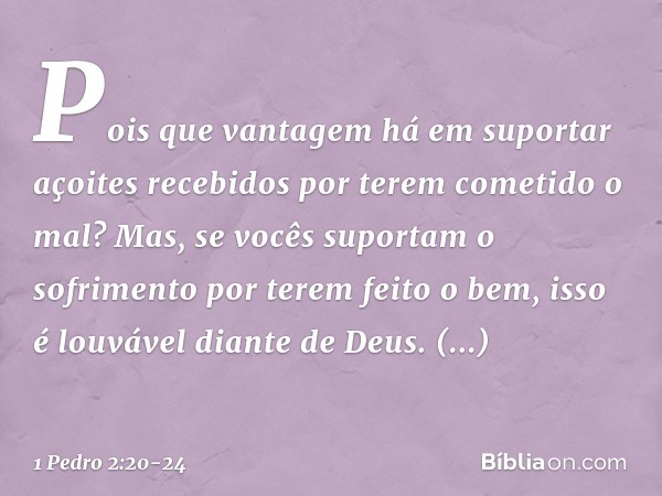 Pois que vantagem há em suportar açoites recebidos por terem cometido o mal? Mas, se vocês suportam o sofrimento por terem feito o bem, isso é louvável diante d