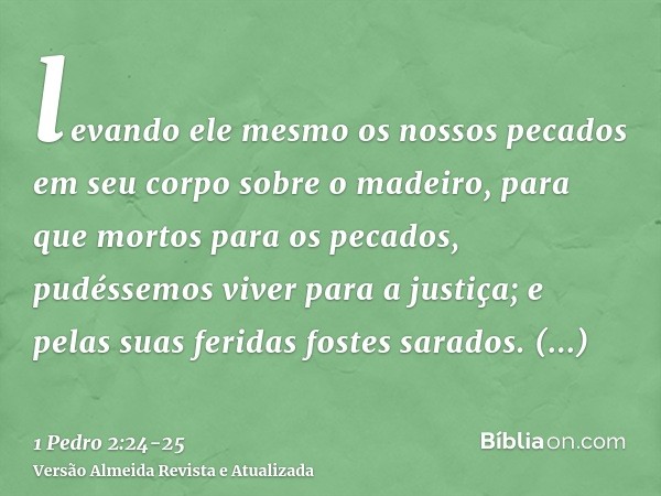 levando ele mesmo os nossos pecados em seu corpo sobre o madeiro, para que mortos para os pecados, pudéssemos viver para a justiça; e pelas suas feridas fostes 