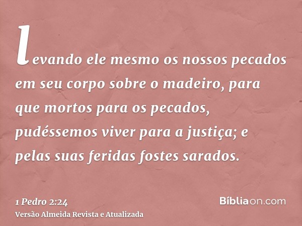 levando ele mesmo os nossos pecados em seu corpo sobre o madeiro, para que mortos para os pecados, pudéssemos viver para a justiça; e pelas suas feridas fostes 