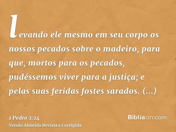 levando ele mesmo em seu corpo os nossos pecados sobre o madeiro, para que, mortos para os pecados, pudéssemos viver para a justiça; e pelas suas feridas fostes