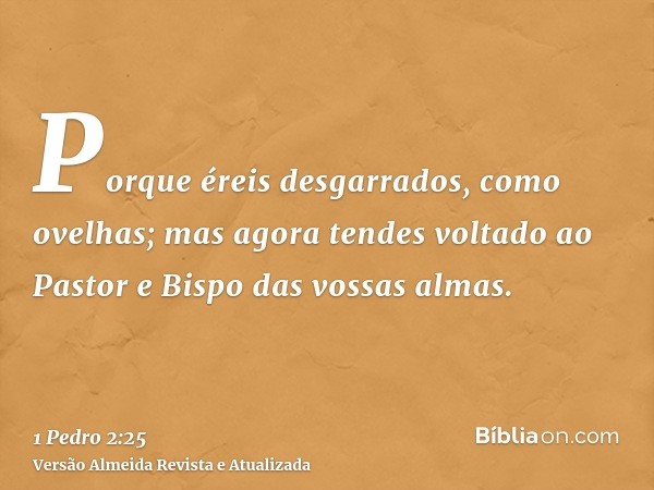 Porque éreis desgarrados, como ovelhas; mas agora tendes voltado ao Pastor e Bispo das vossas almas.