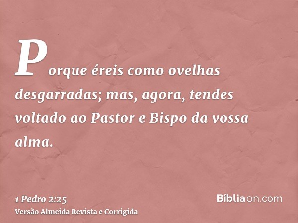 Porque éreis como ovelhas desgarradas; mas, agora, tendes voltado ao Pastor e Bispo da vossa alma.