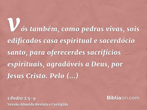 vós também, como pedras vivas, sois edificados casa espiritual e sacerdócio santo, para oferecerdes sacrifícios espirituais, agradáveis a Deus, por Jesus Cristo