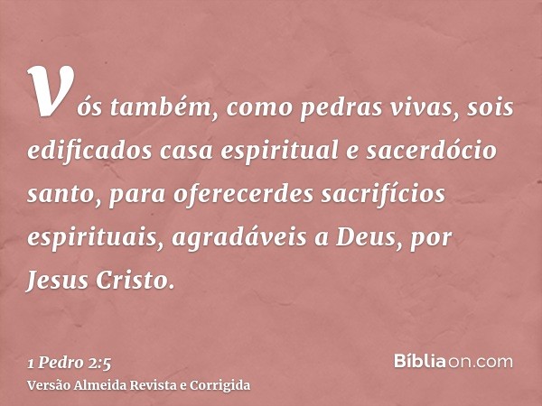 vós também, como pedras vivas, sois edificados casa espiritual e sacerdócio santo, para oferecerdes sacrifícios espirituais, agradáveis a Deus, por Jesus Cristo