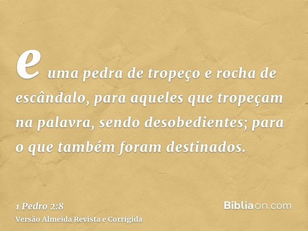 e uma pedra de tropeço e rocha de escândalo, para aqueles que tropeçam na palavra, sendo desobedientes; para o que também foram destinados.