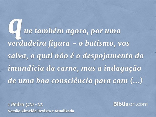 que também agora, por uma verdadeira figura - o batismo, vos salva, o qual não é o despojamento da imundícia da carne, mas a indagação de uma boa consciência pa