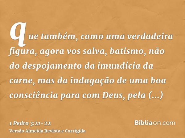 que também, como uma verdadeira figura, agora vos salva, batismo, não do despojamento da imundícia da carne, mas da indagação de uma boa consciência para com De