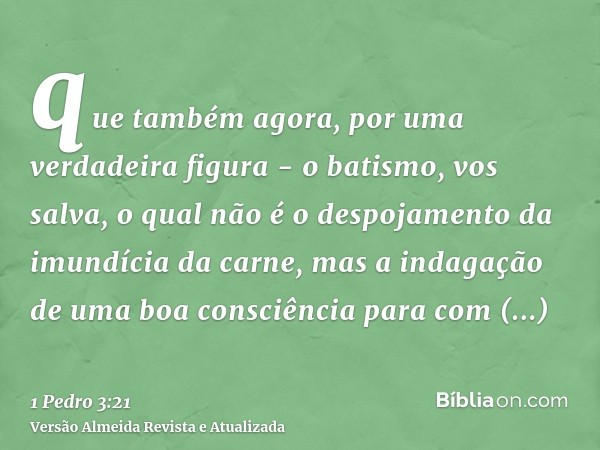 que também agora, por uma verdadeira figura - o batismo, vos salva, o qual não é o despojamento da imundícia da carne, mas a indagação de uma boa consciência pa