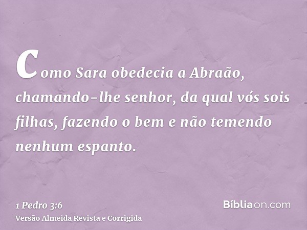como Sara obedecia a Abraão, chamando-lhe senhor, da qual vós sois filhas, fazendo o bem e não temendo nenhum espanto.